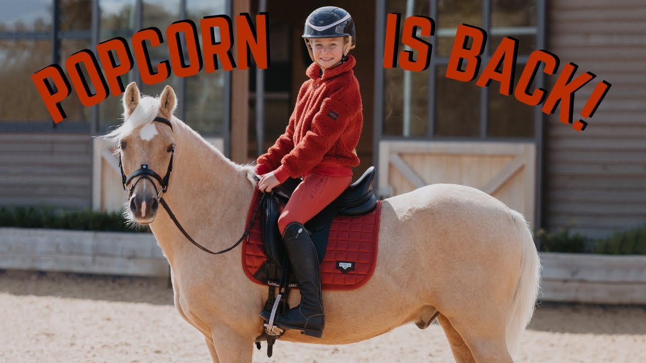 Harlow and Popcorn Merch: Adorable Animal Collectibles Unleashed!